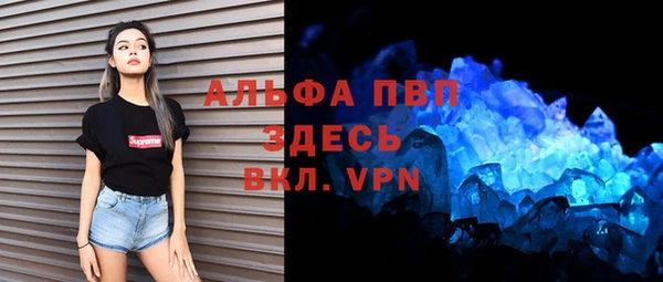 прущие грибы Белокуриха