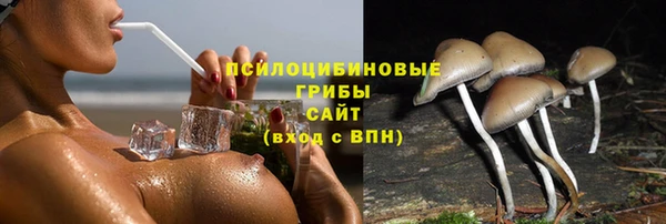 бошки Беломорск