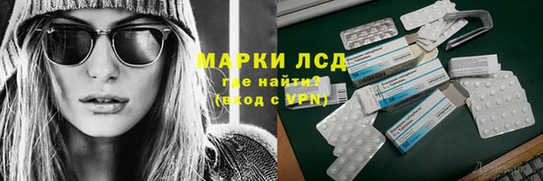 прущие грибы Белокуриха